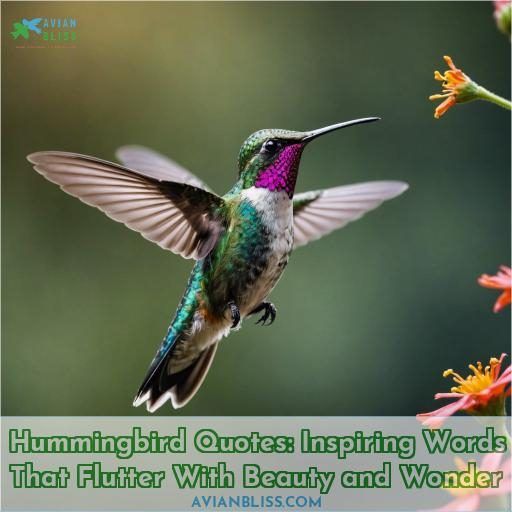 hummingbird quotes