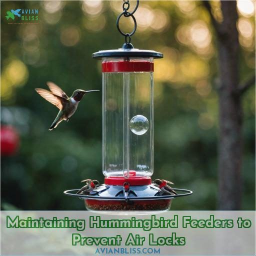 Maintaining Hummingbird Feeders to Prevent Air Locks