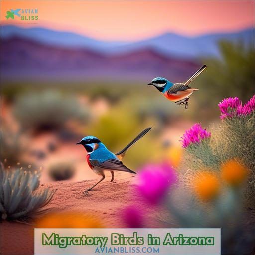 Migratory Birds in Arizona