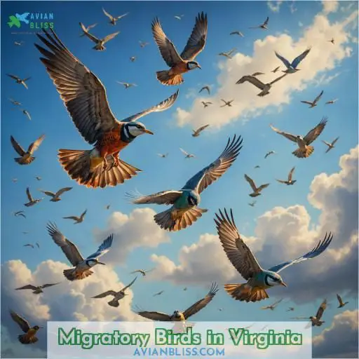 Migratory Birds in Virginia
