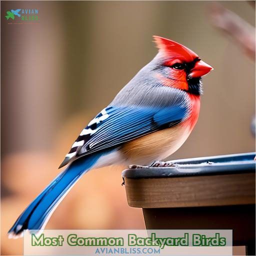 Most Common Backyard Birds