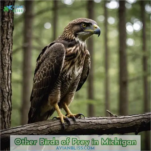 Other Birds of Prey in Michigan