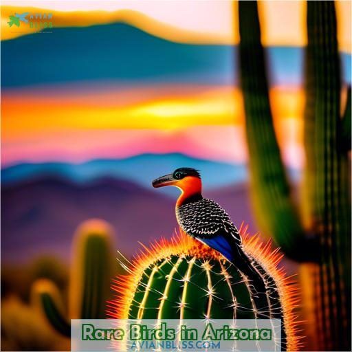 Rare Birds in Arizona