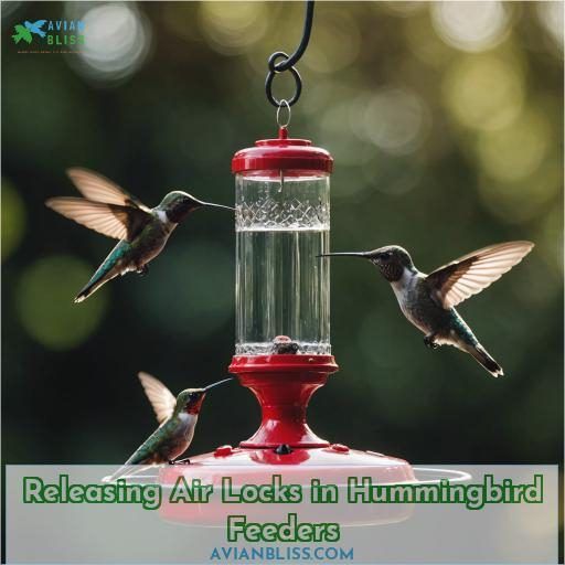Releasing Air Locks in Hummingbird Feeders