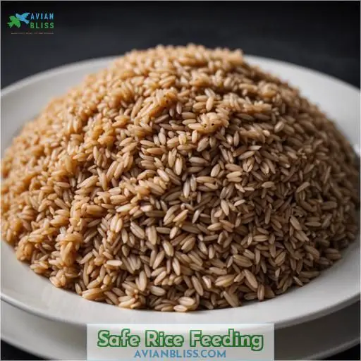 Safe Rice Feeding
