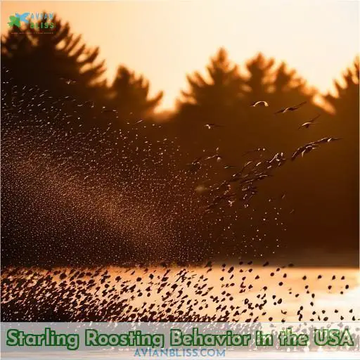 Starling Roosting Behavior in the USA