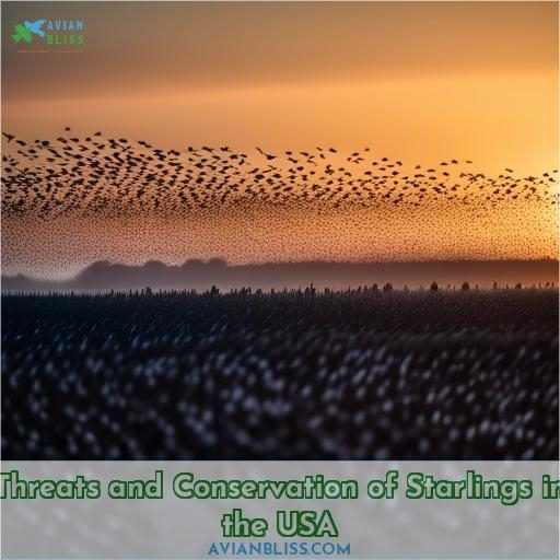 Threats and Conservation of Starlings in the USA