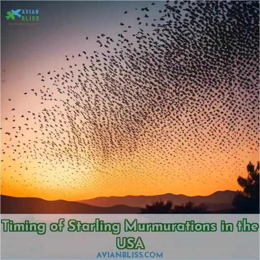 Timing of Starling Murmurations in the USA