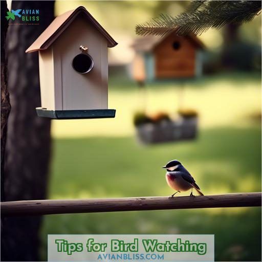 Tips for Bird Watching