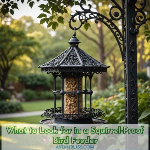 What to Look for in a Squirrel-Proof Bird Feeder