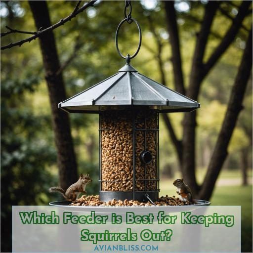 Which Feeder is Best for Keeping Squirrels Out