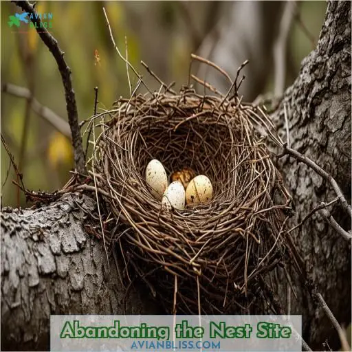 Abandoning the Nest Site