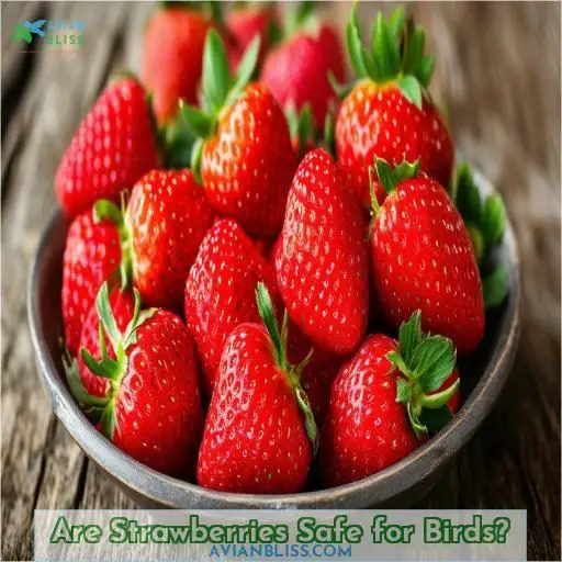 Are Strawberries Safe for Birds