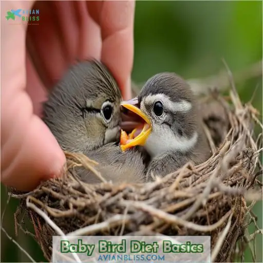 Baby Bird Diet Basics