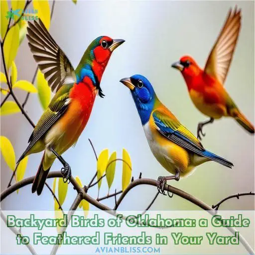 backyard birds of oklahoma