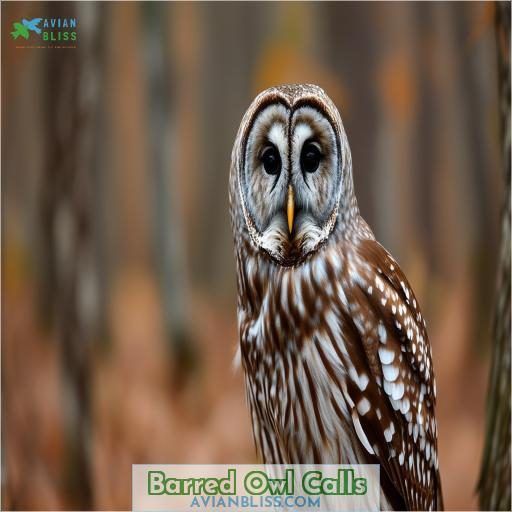 Barred Owl Calls