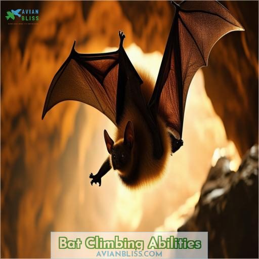 Bat Climbing Abilities