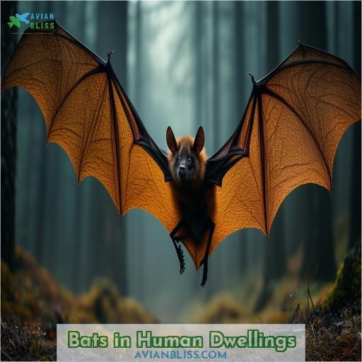 Bats in Human Dwellings