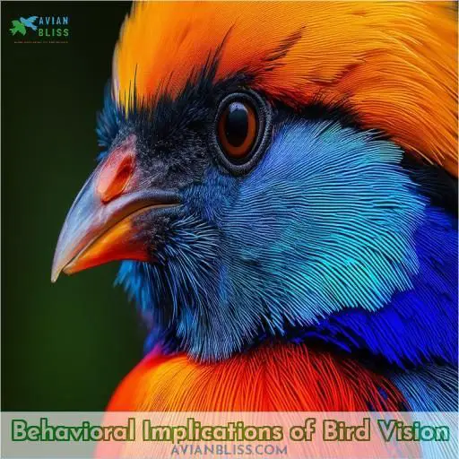 Behavioral Implications of Bird Vision