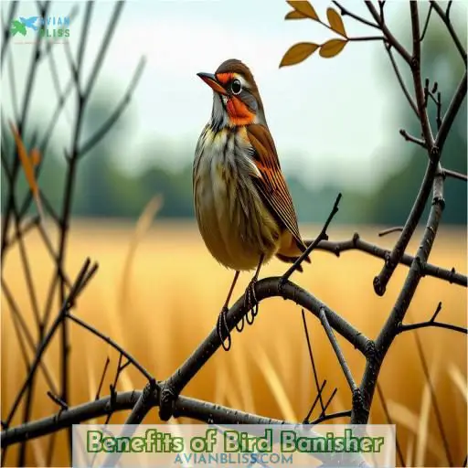Benefits of Bird Banisher