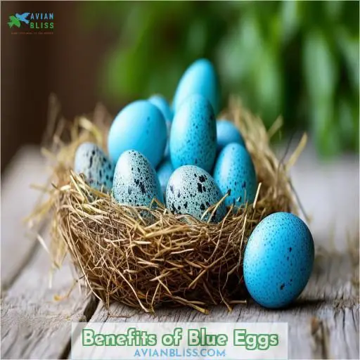 Benefits of Blue Eggs