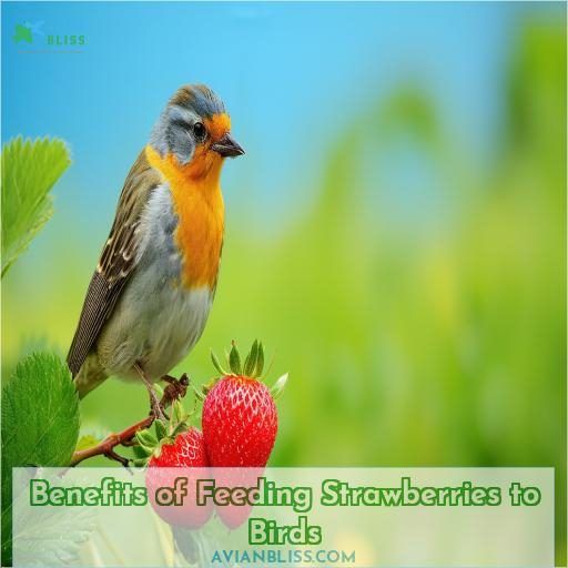 Benefits of Feeding Strawberries to Birds