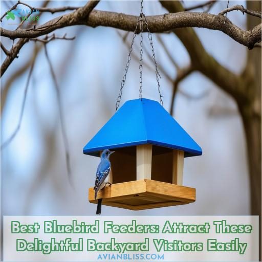 best bluebird feeders