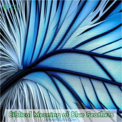 Biblical Meaning of Blue Feathers