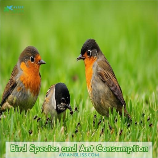 Bird Species and Ant Consumption