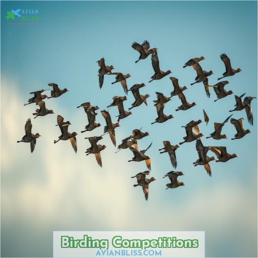 Birding Competitions