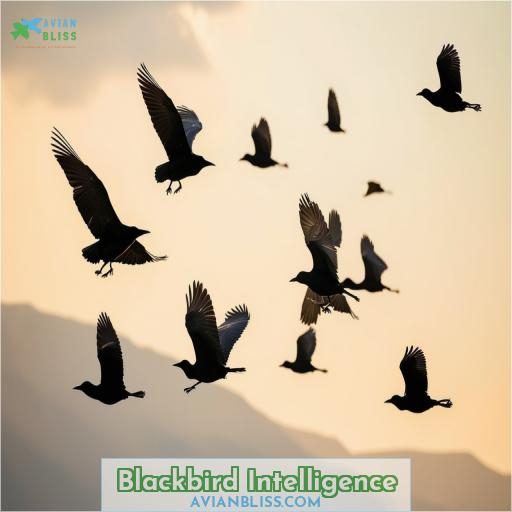 Blackbird Intelligence
