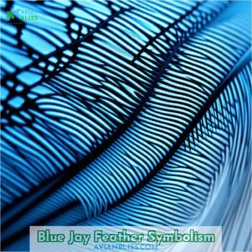 Blue Jay Feather Symbolism