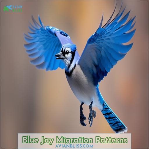 Blue Jay Migration Patterns