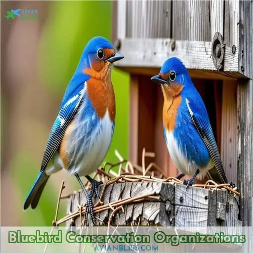Bluebird Conservation Organizations