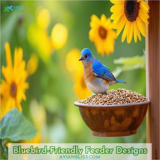 Bluebird-Friendly Feeder Designs