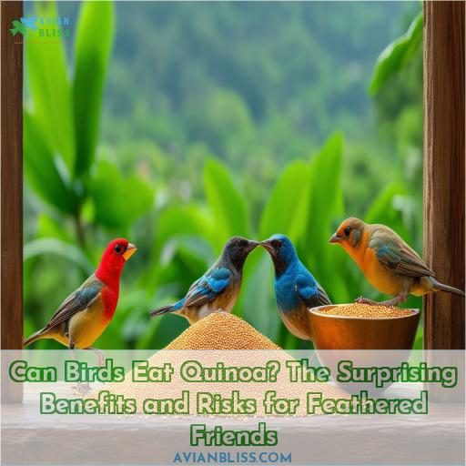 can birds eat quinoa