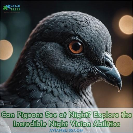 can pigeons see at night