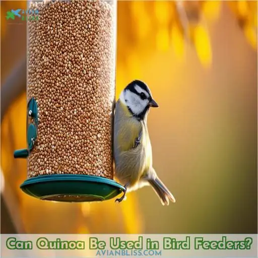 Can Quinoa Be Used in Bird Feeders