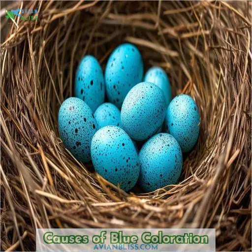 Causes of Blue Coloration