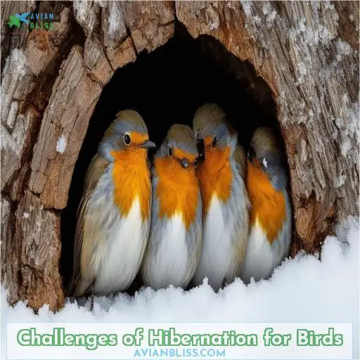 Challenges of Hibernation for Birds