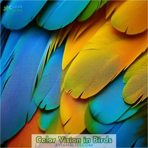 Color Vision in Birds