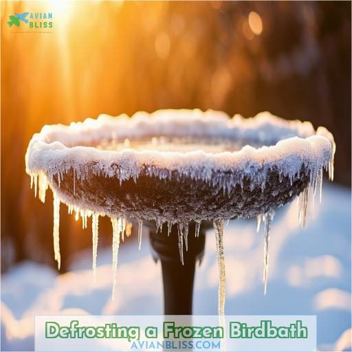 Defrosting a Frozen Birdbath