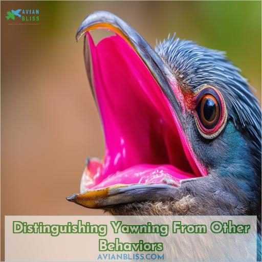 Distinguishing Yawning From Other Behaviors