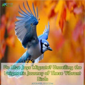 do blue jays migrate