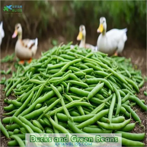 Ducks and Green Beans