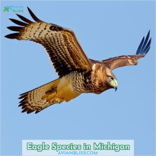 Eagle Species in Michigan