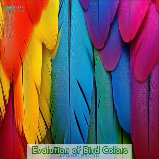 Evolution of Bird Colors