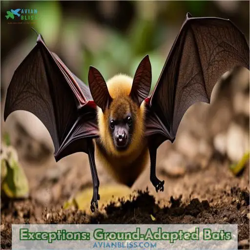Exceptions: Ground-Adapted Bats