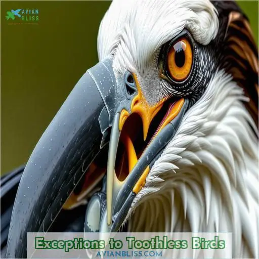 Exceptions to Toothless Birds