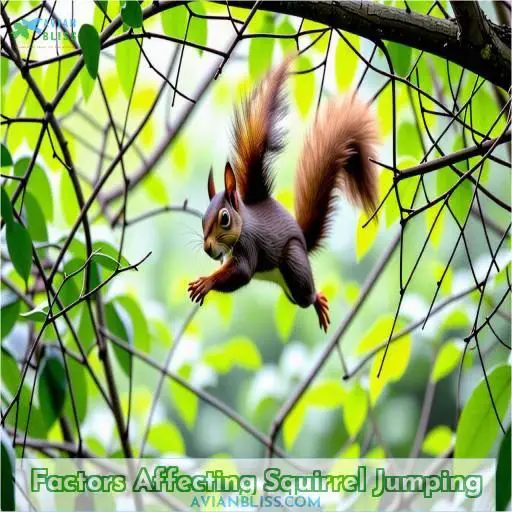 Factors Affecting Squirrel Jumping